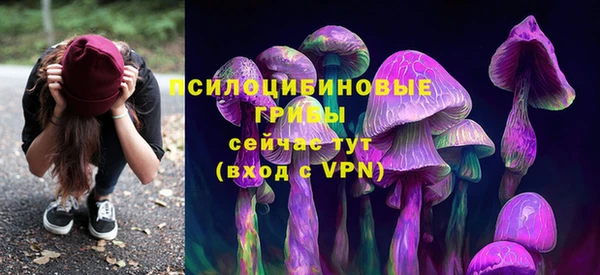 трава Заволжье