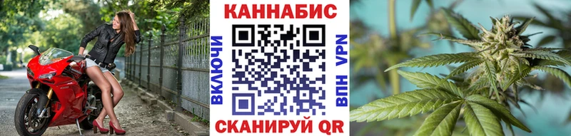Купить где  Семикаракорск  Канабис тримм 